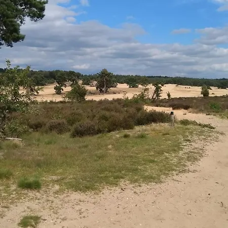 De Oude Dorpsbakker Oda ve Kahvaltı Ellecom