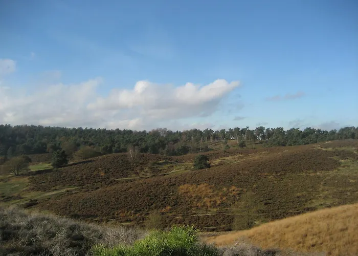 De Oude Dorpsbakker Oda ve Kahvaltı 3*